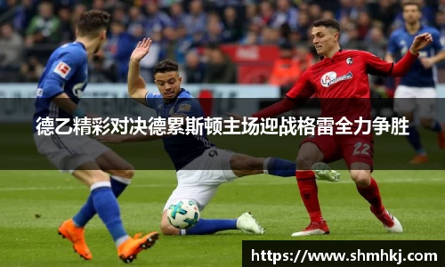 德乙精彩对决德累斯顿主场迎战格雷全力争胜